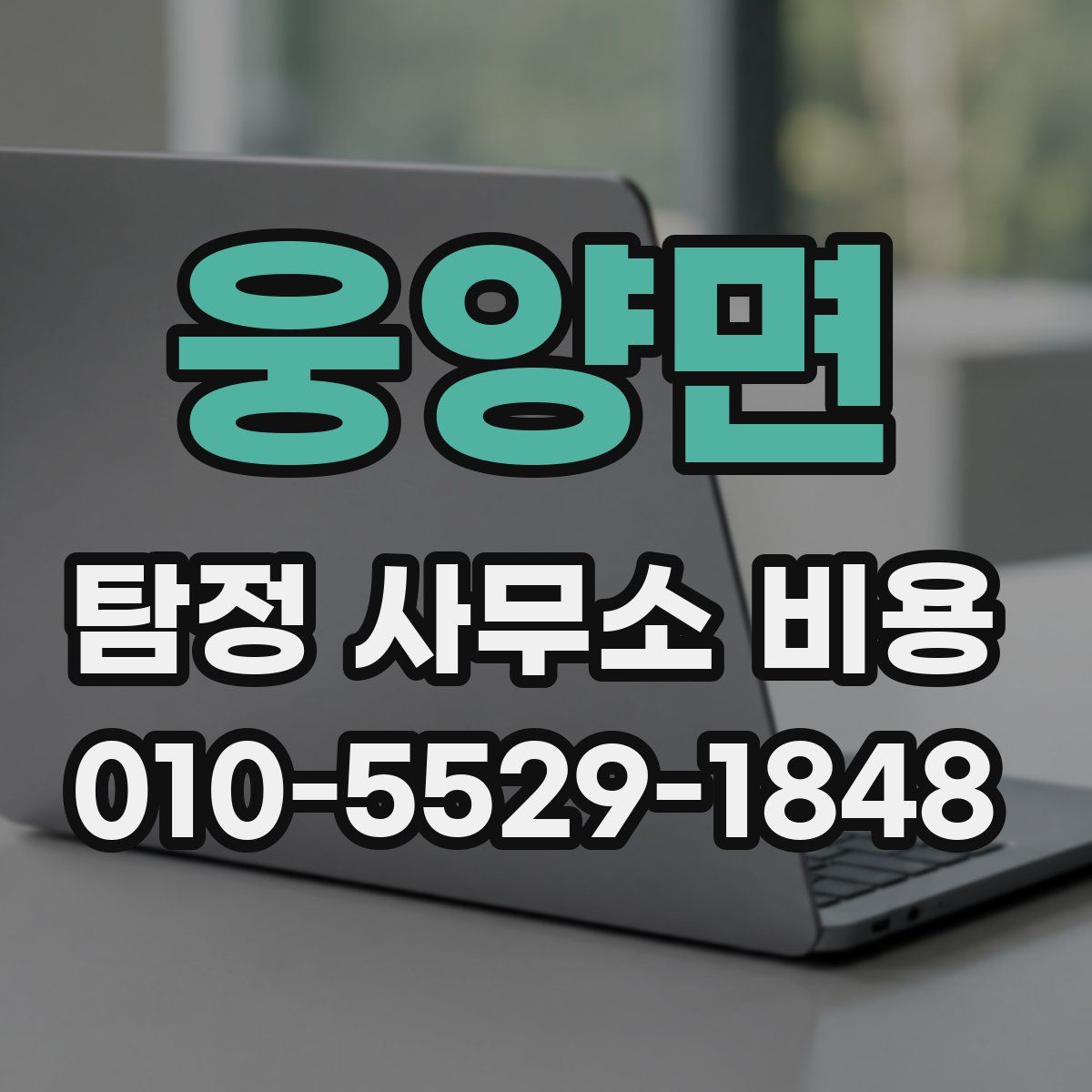 웅양면 탐정 사무소 비용