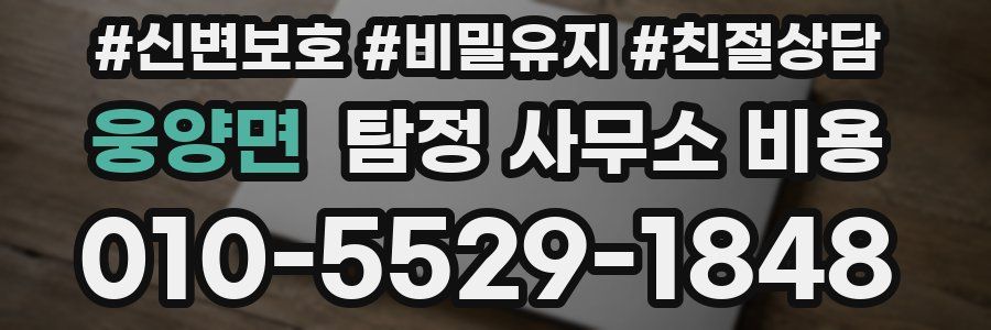 웅양면 탐정 사무소 비용