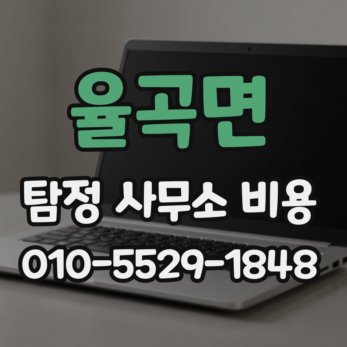 율곡면 탐정 사무소 비용