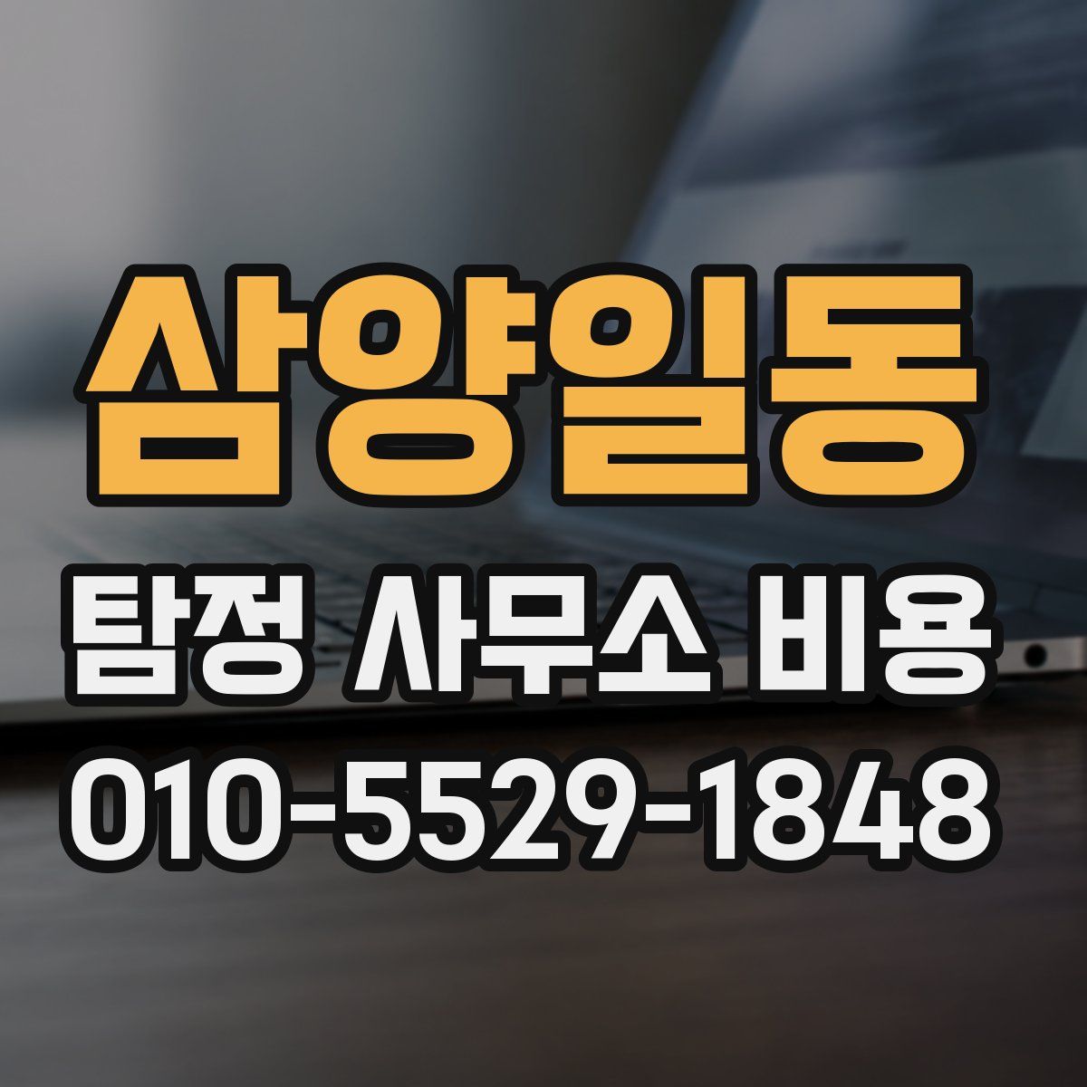 삼양일동 탐정 사무소 비용
