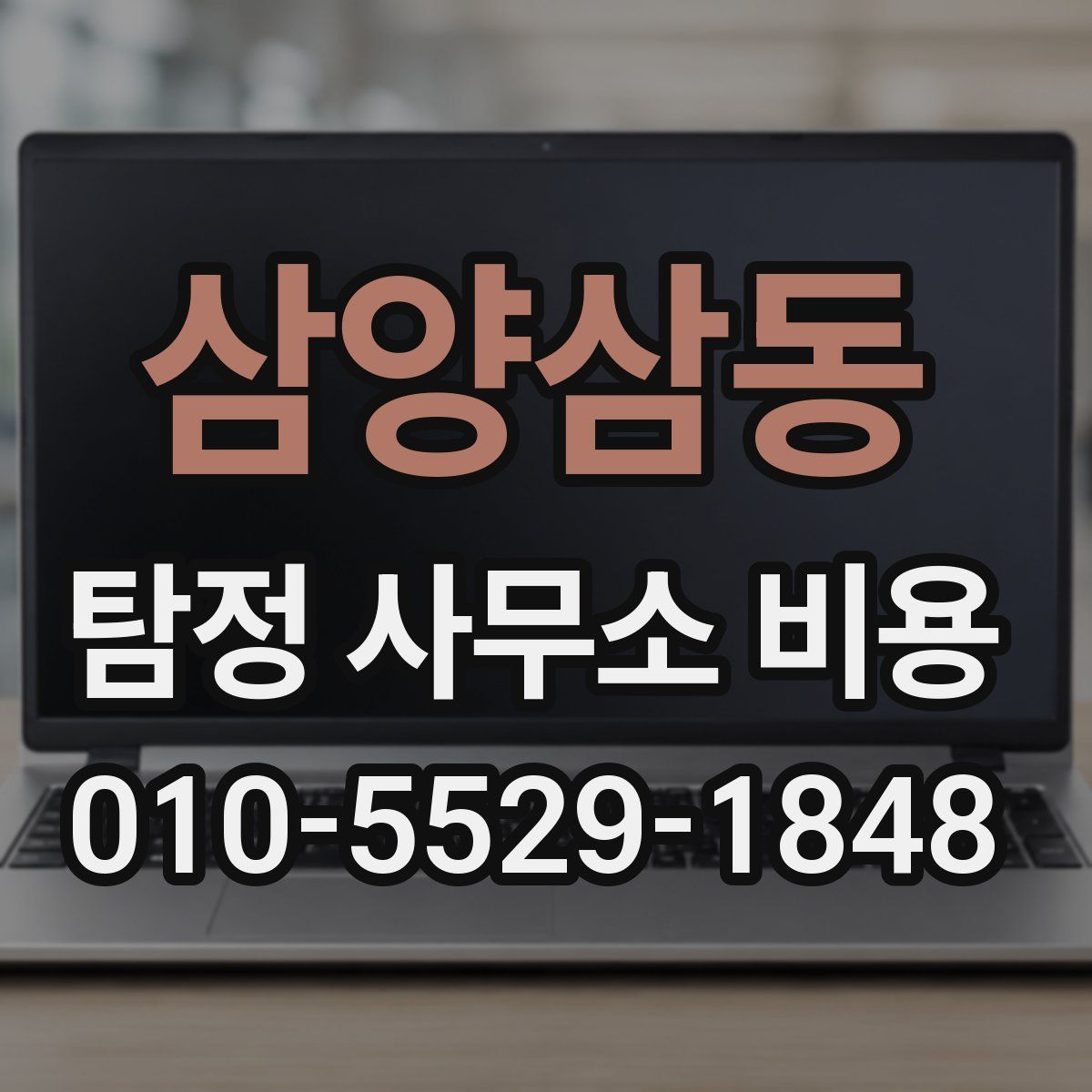 삼양삼동 탐정 사무소 비용