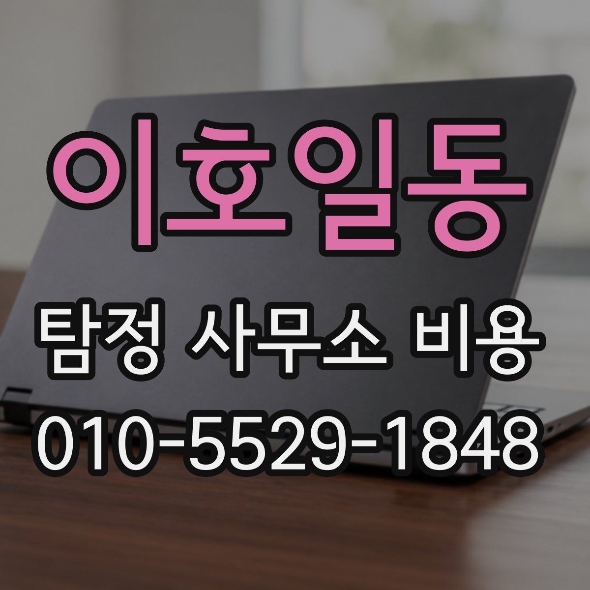 이호일동 탐정 사무소 비용