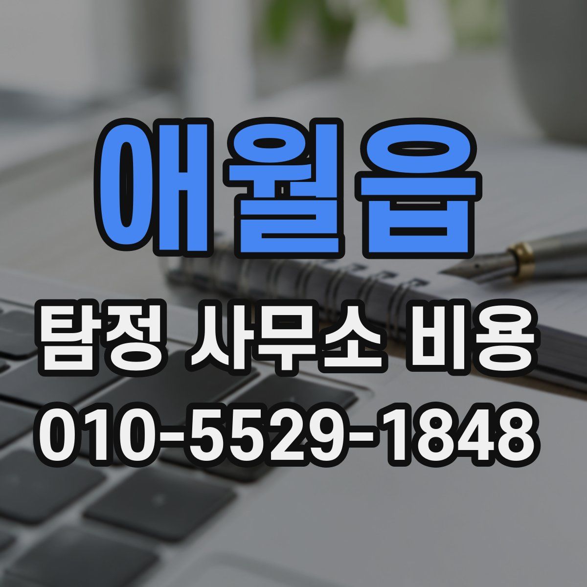 애월읍 탐정 사무소 비용