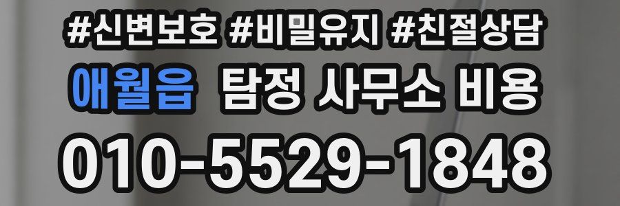 애월읍 탐정 사무소 비용