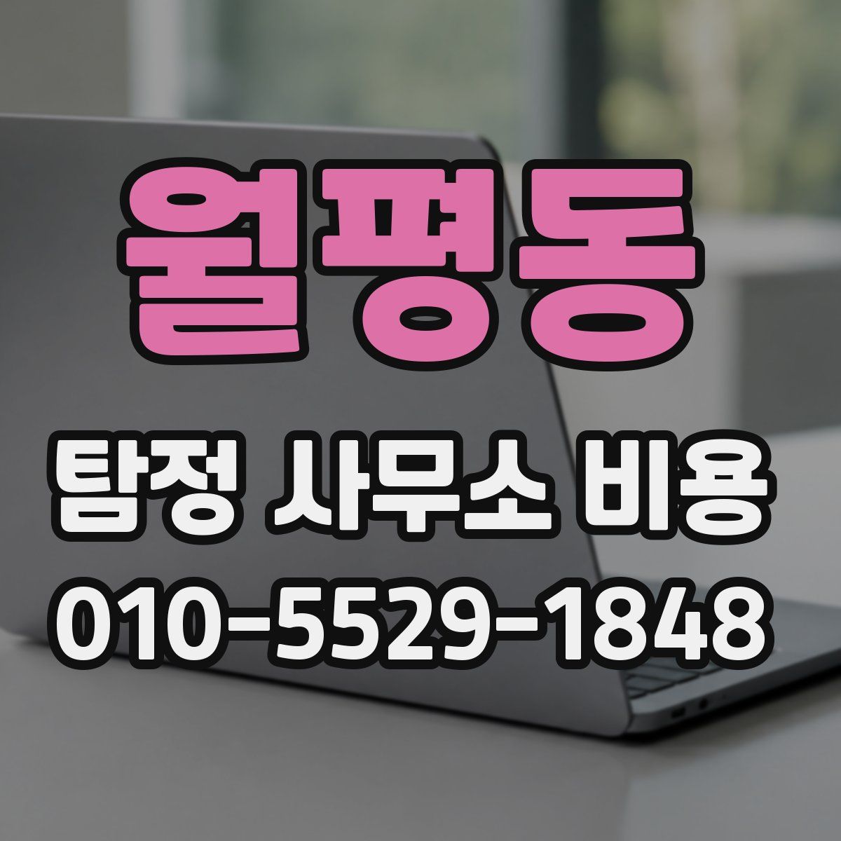 월평동 탐정 사무소 비용
