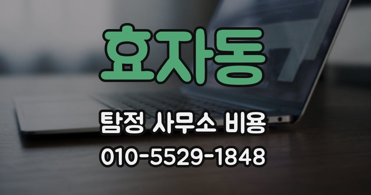 효자동 탐정 사무소 비용