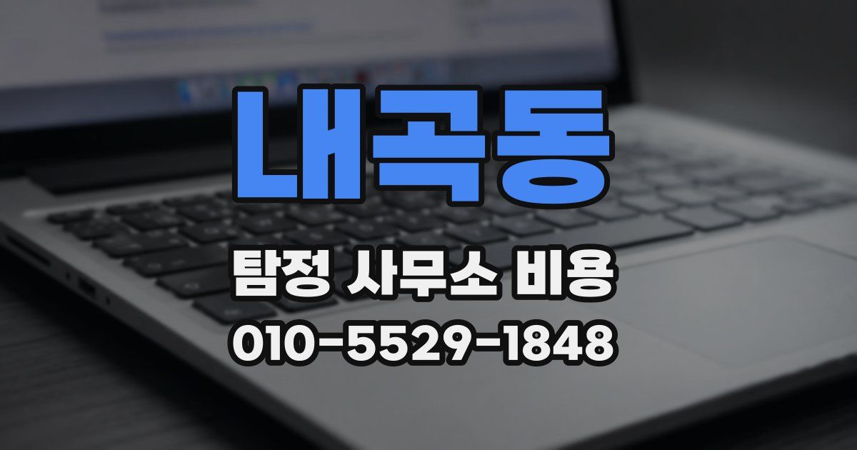 내곡동 탐정 사무소 비용