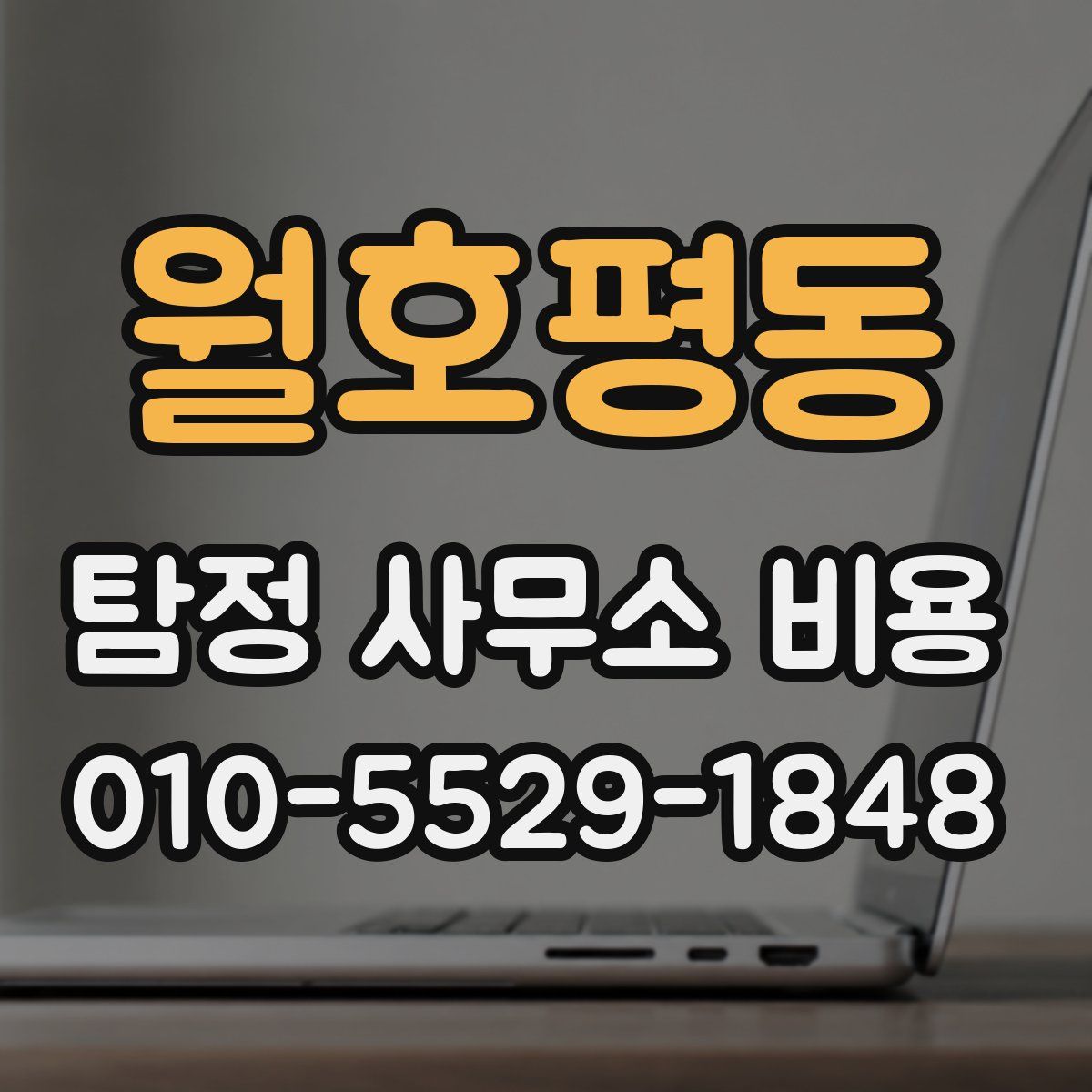 월호평동 탐정 사무소 비용