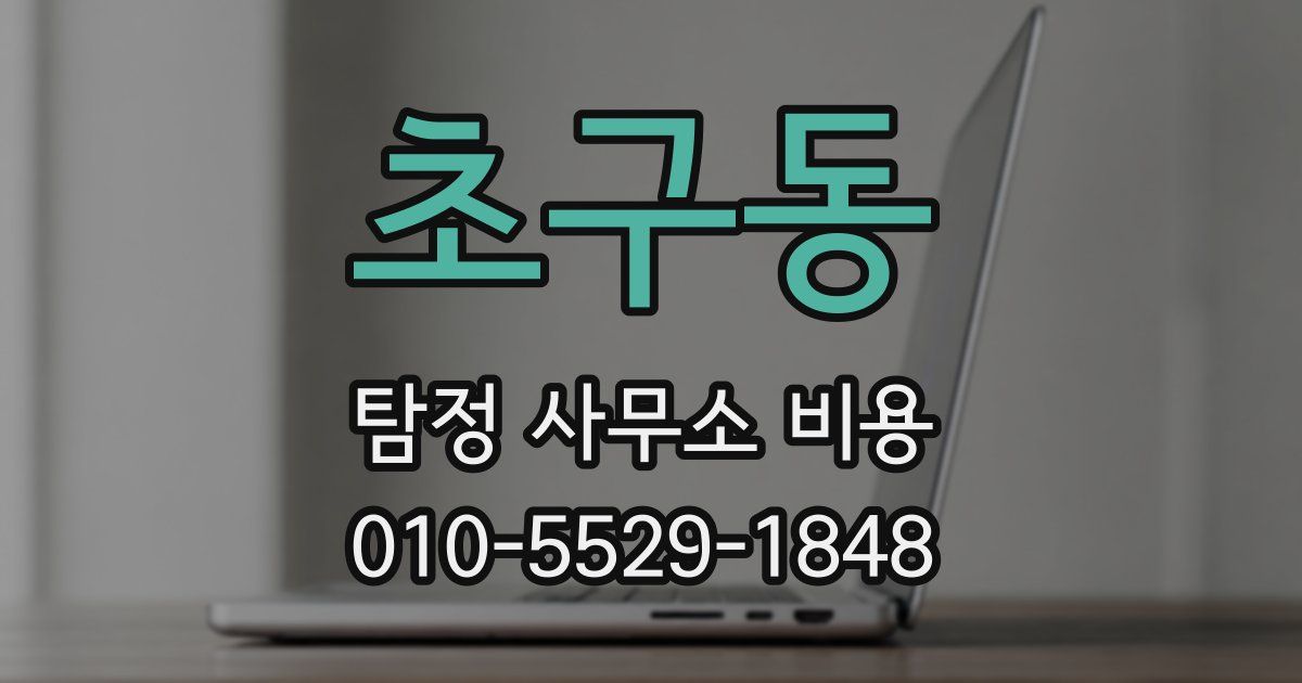 초구동 탐정 사무소 비용