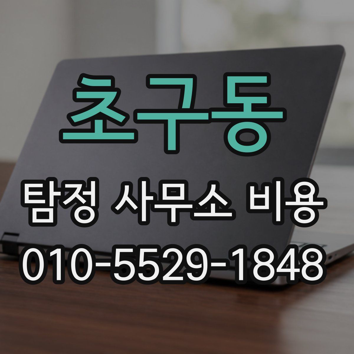 초구동 탐정 사무소 비용