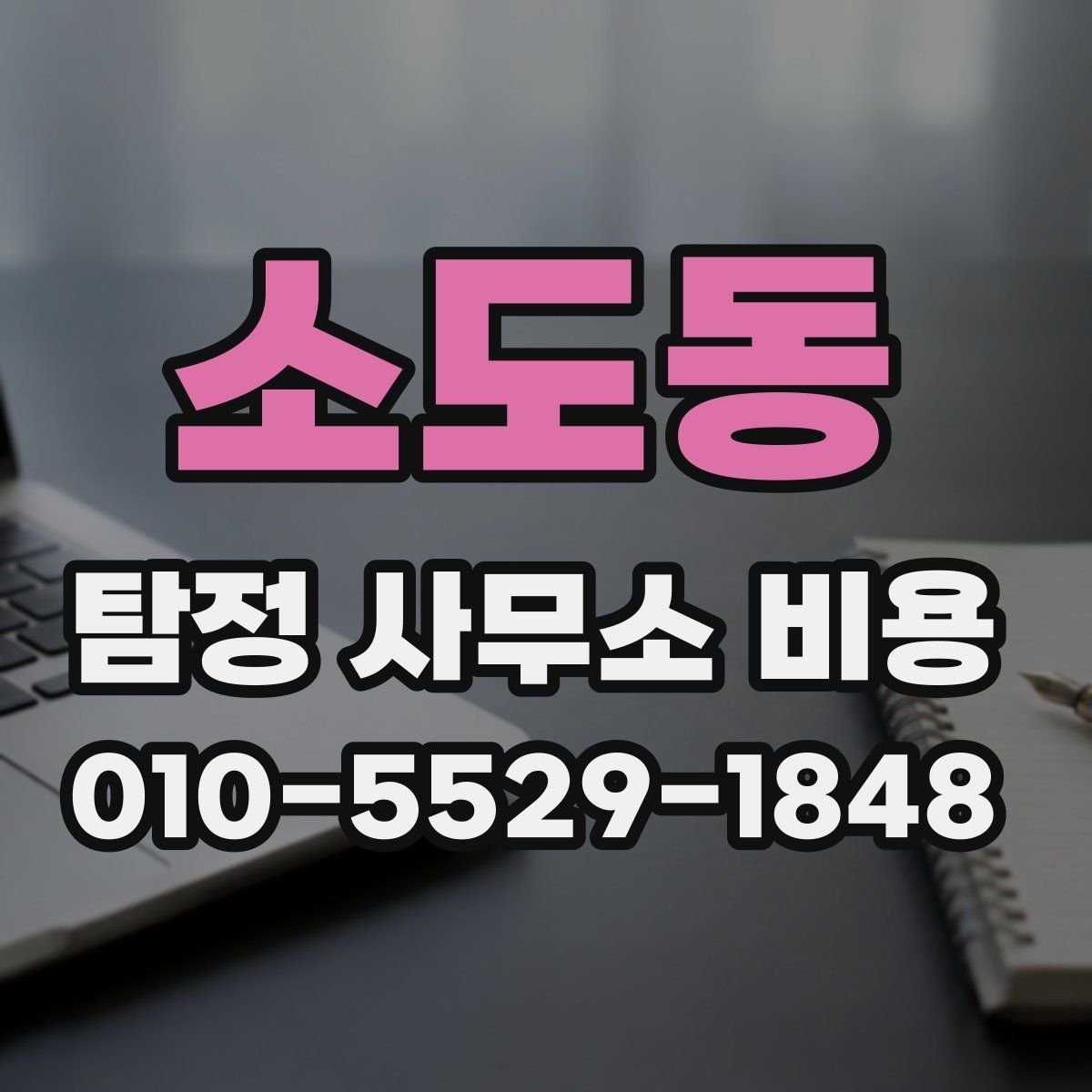 소도동 탐정 사무소 비용