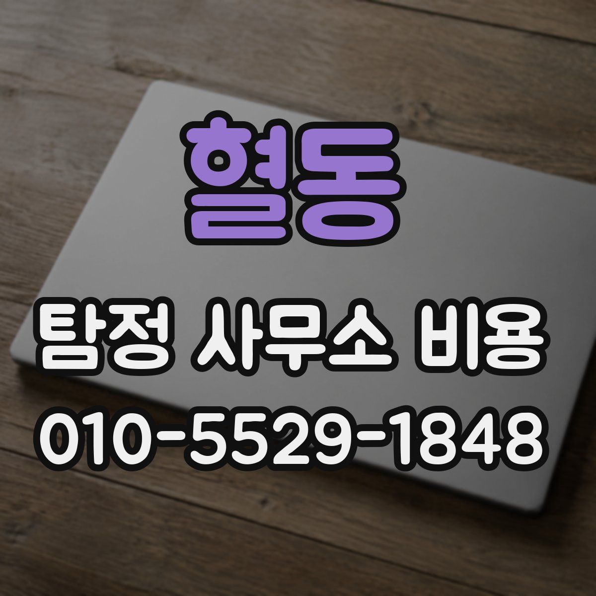 혈동 탐정 사무소 비용