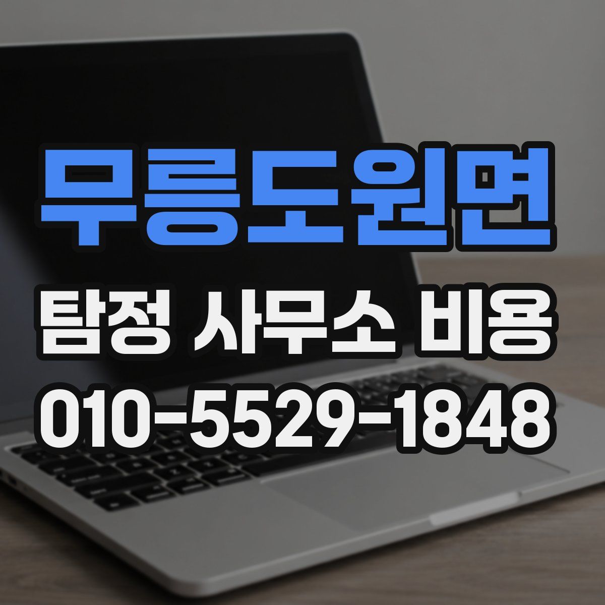 무릉도원면 탐정 사무소 비용