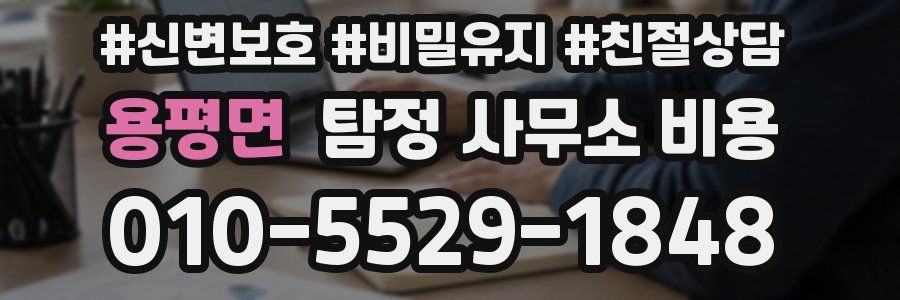 용평면 탐정 사무소 비용
