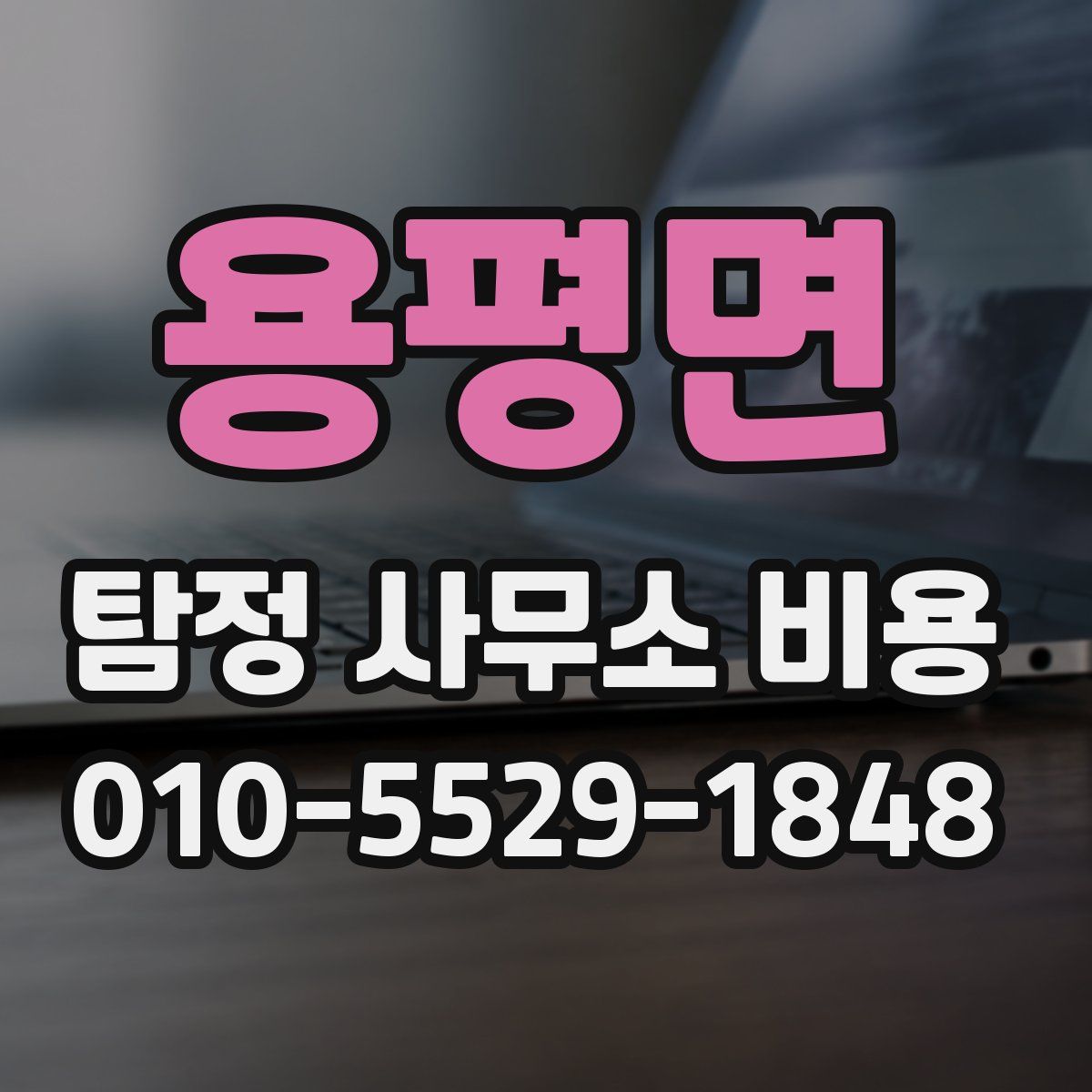 용평면 탐정 사무소 비용