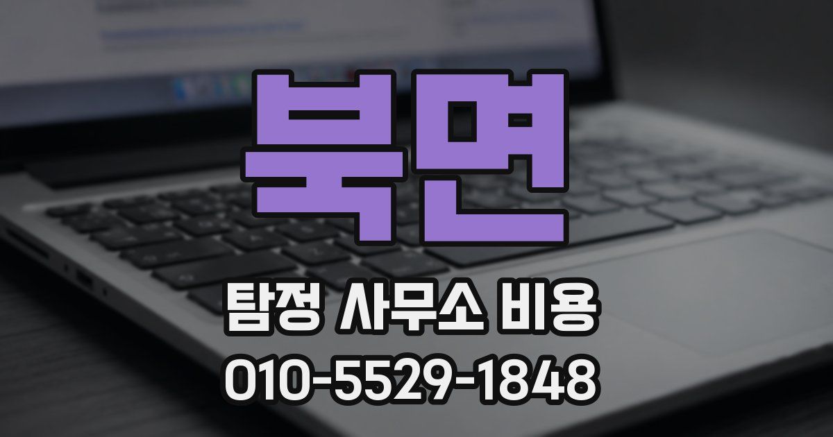 북면 탐정 사무소 비용