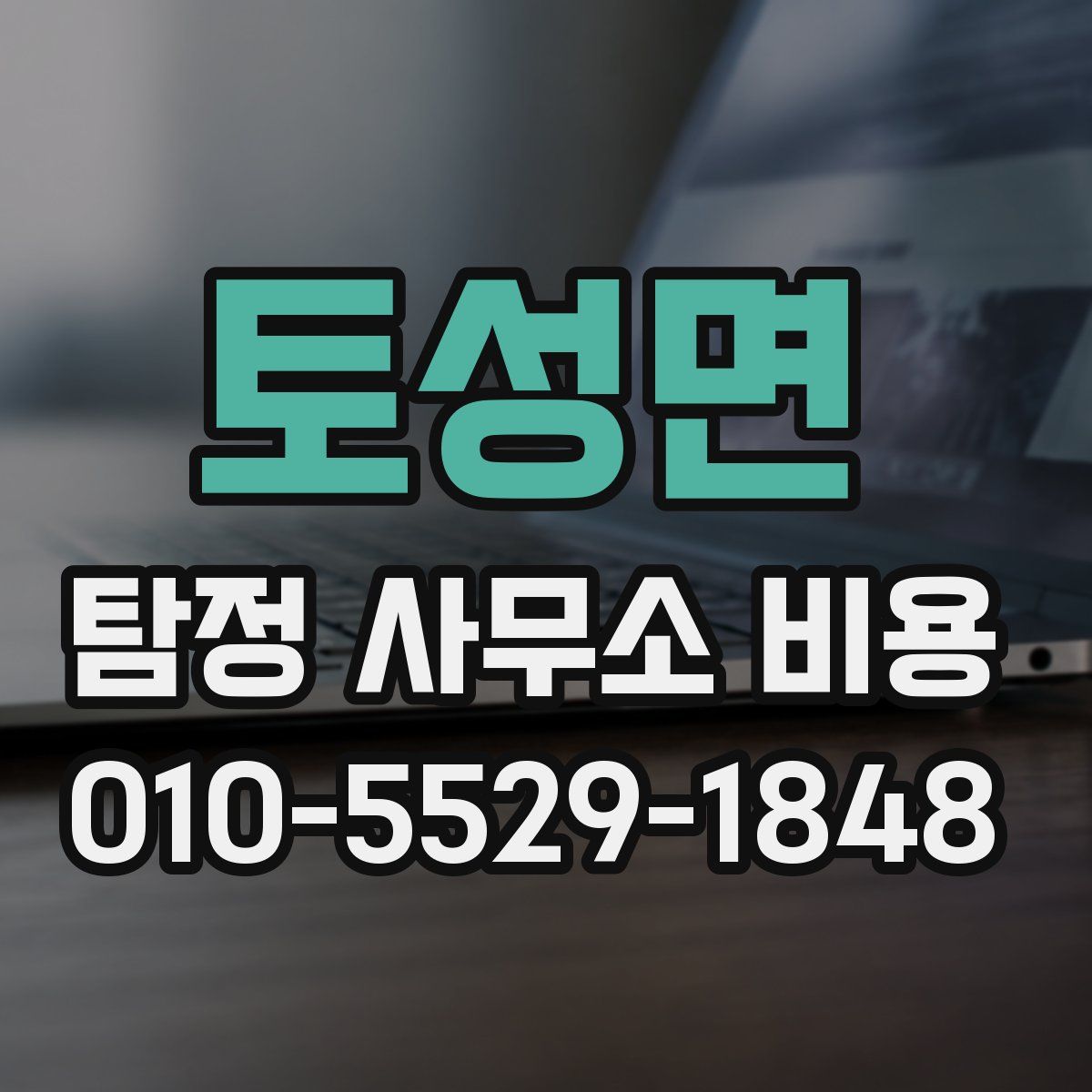 토성면 탐정 사무소 비용