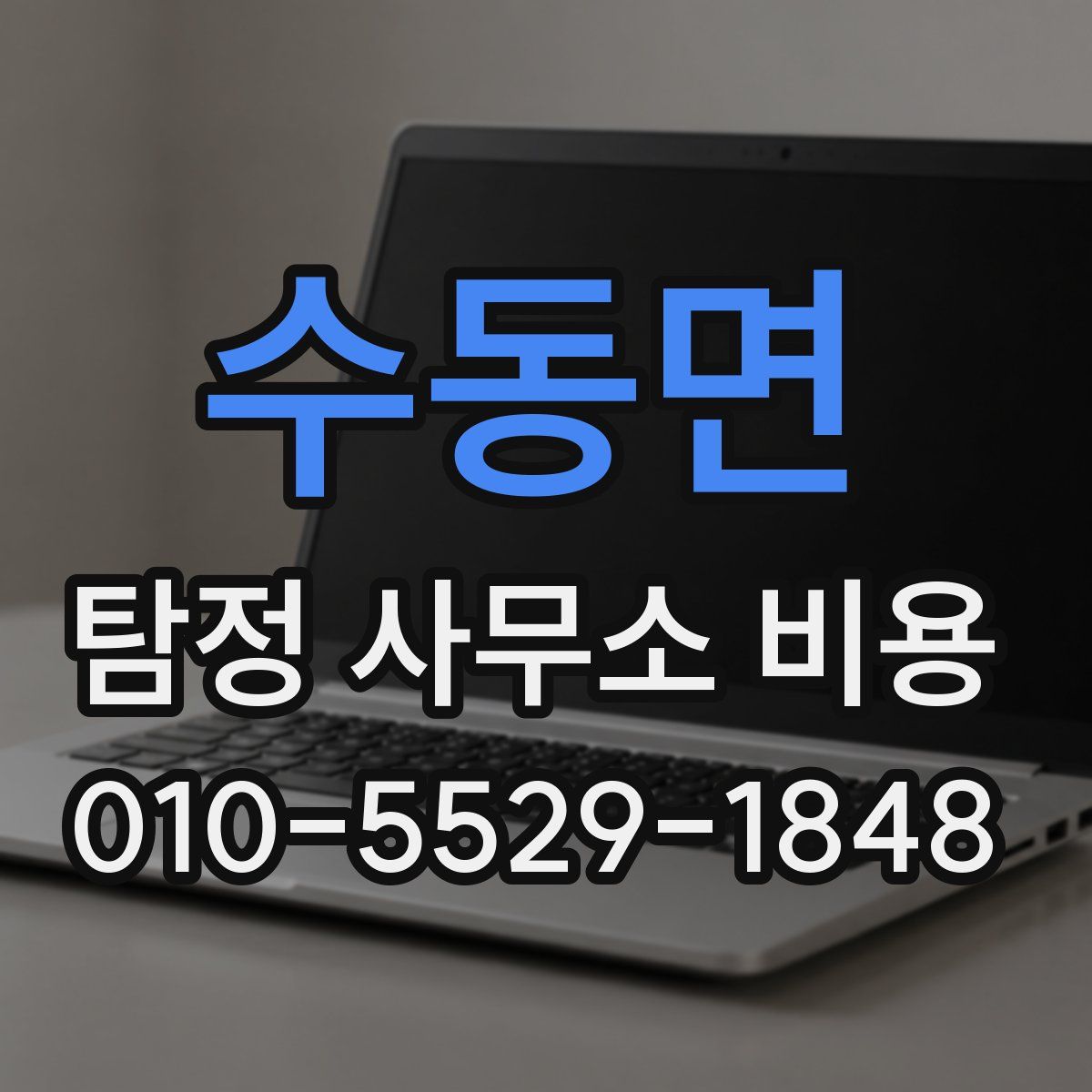 수동면 탐정 사무소 비용