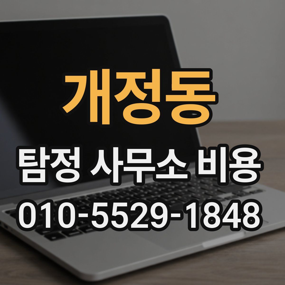 개정동 탐정 사무소 비용