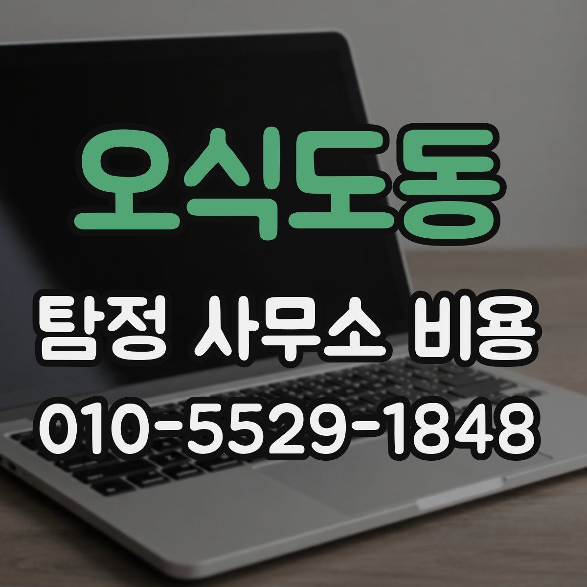 오식도동 탐정 사무소 비용