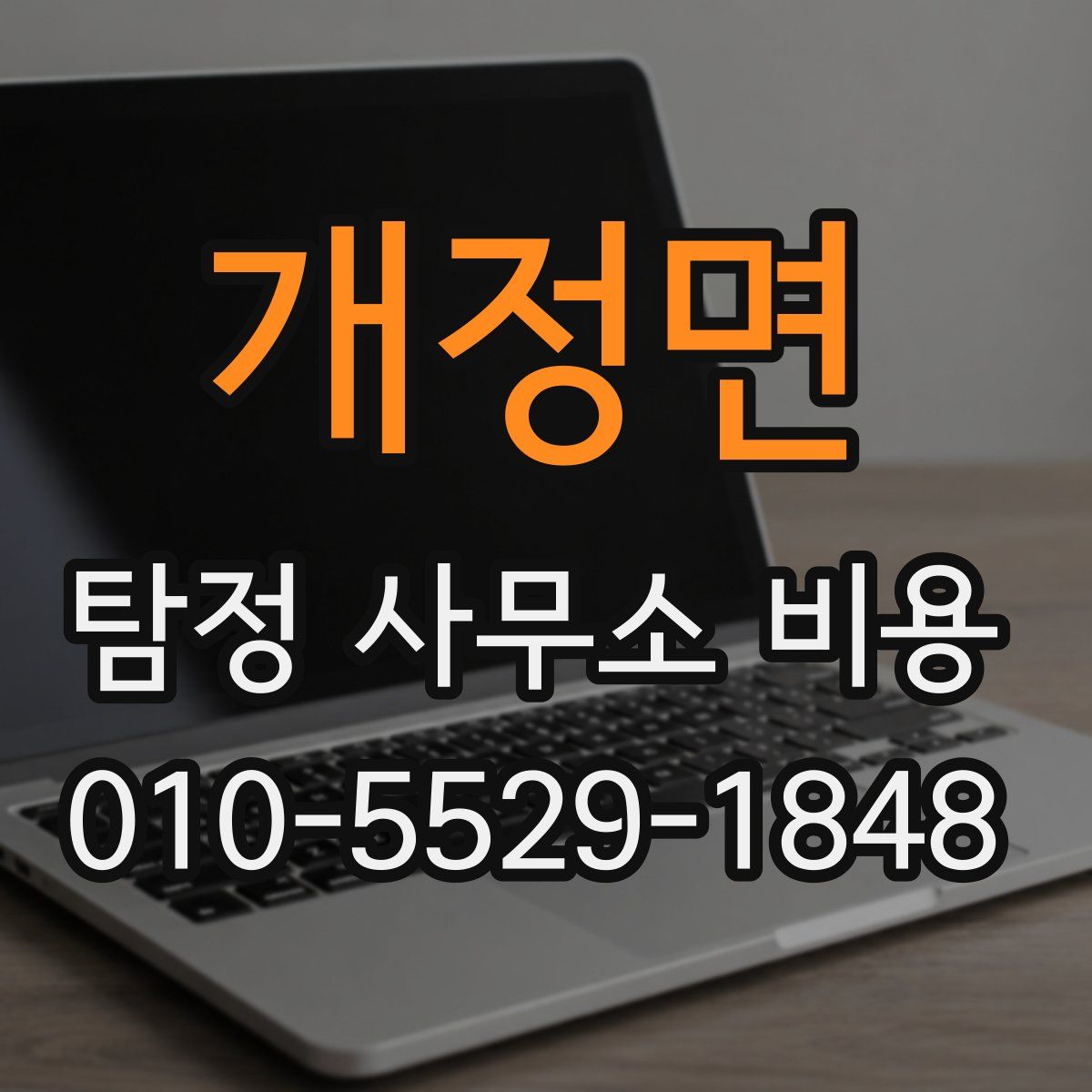 개정면 탐정 사무소 비용