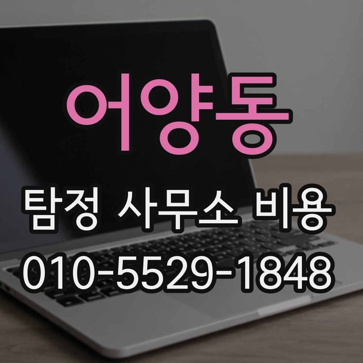 어양동 탐정 사무소 비용