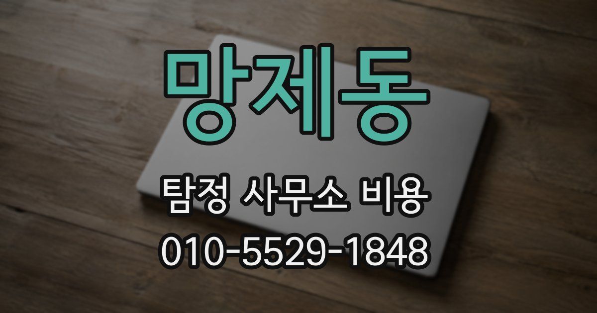 망제동 탐정 사무소 비용