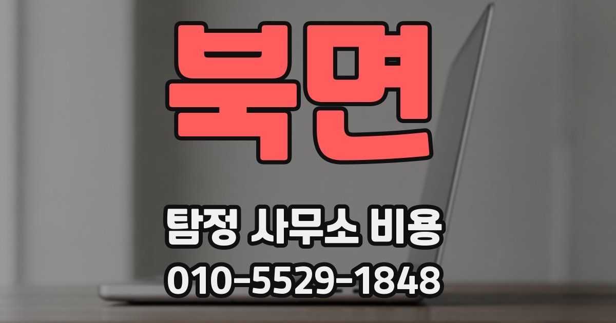 북면 탐정 사무소 비용