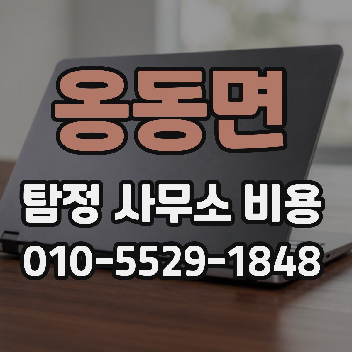 옹동면 탐정 사무소 비용
