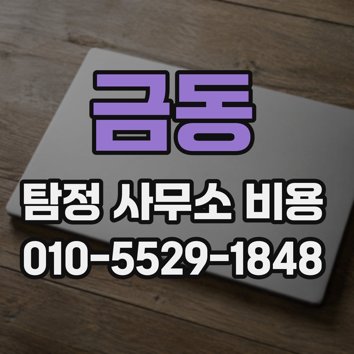 금동 탐정 사무소 비용