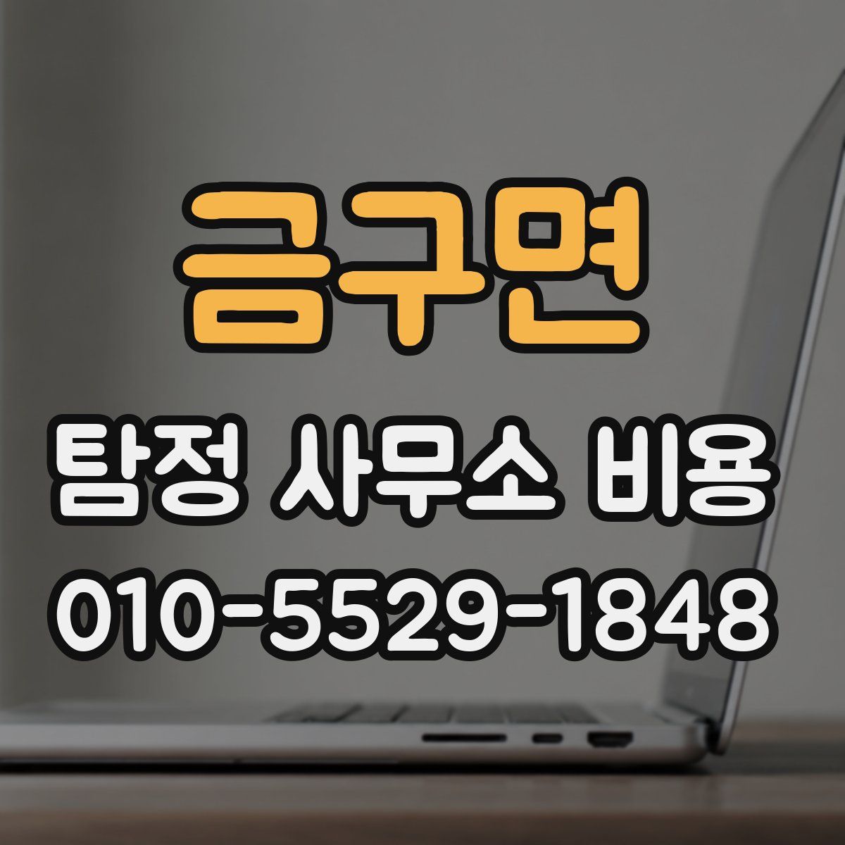 금구면 탐정 사무소 비용