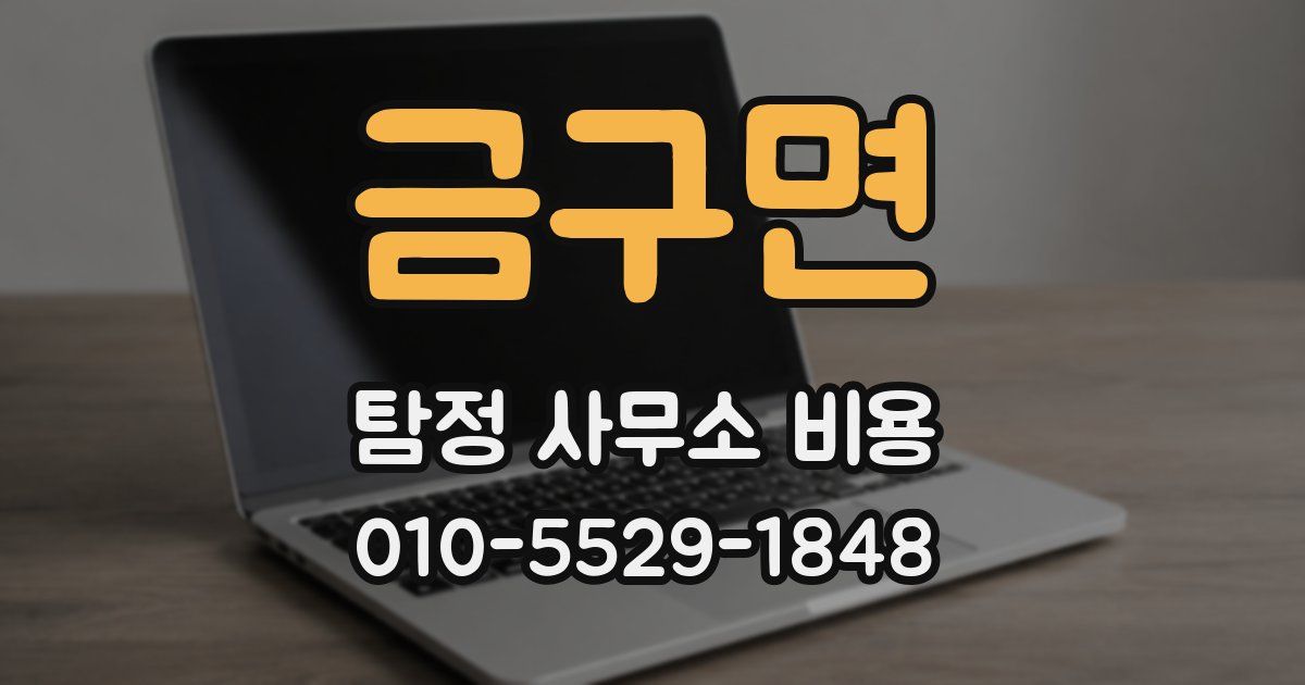 금구면 탐정 사무소 비용