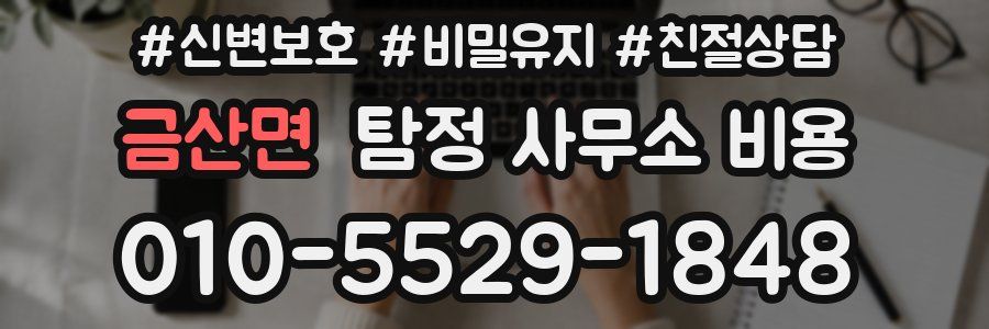 금산면 탐정 사무소 비용