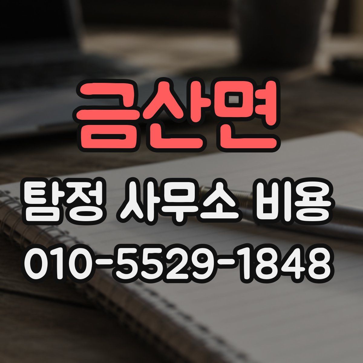 금산면 탐정 사무소 비용