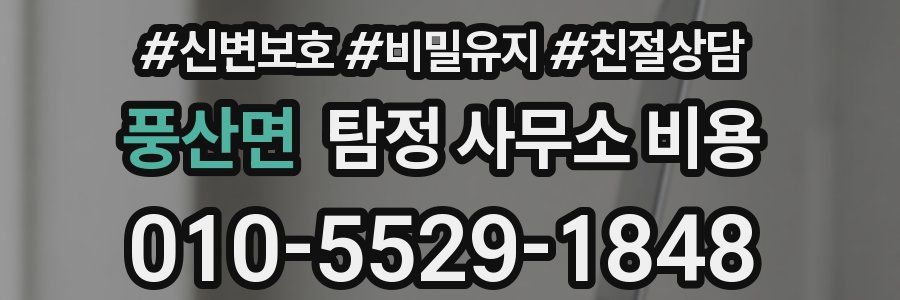 풍산면 탐정 사무소 비용