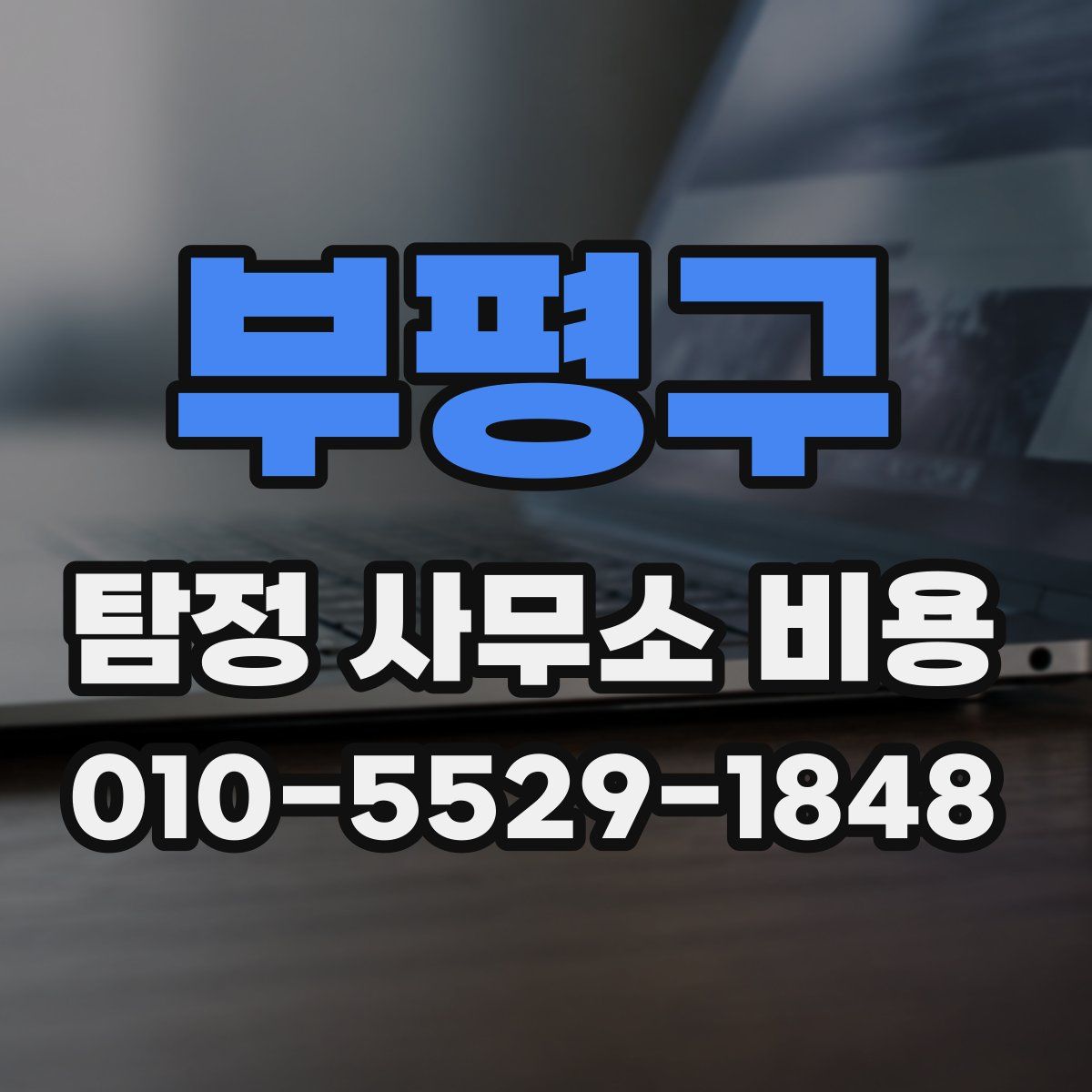 부평구 탐정 사무소 비용