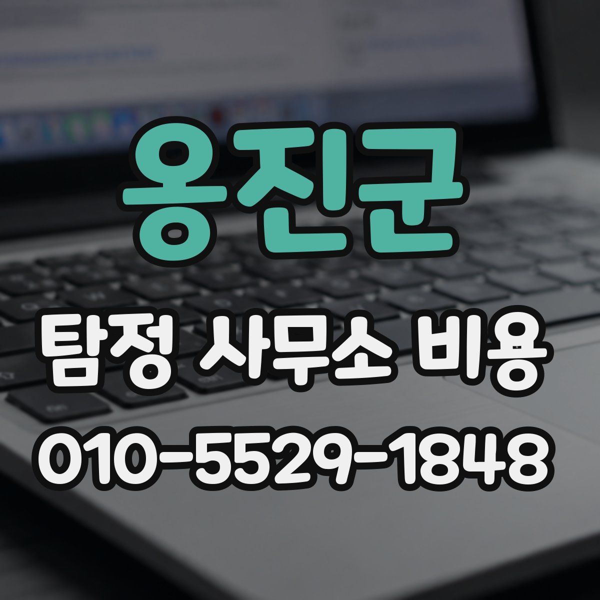 옹진군 탐정 사무소 비용