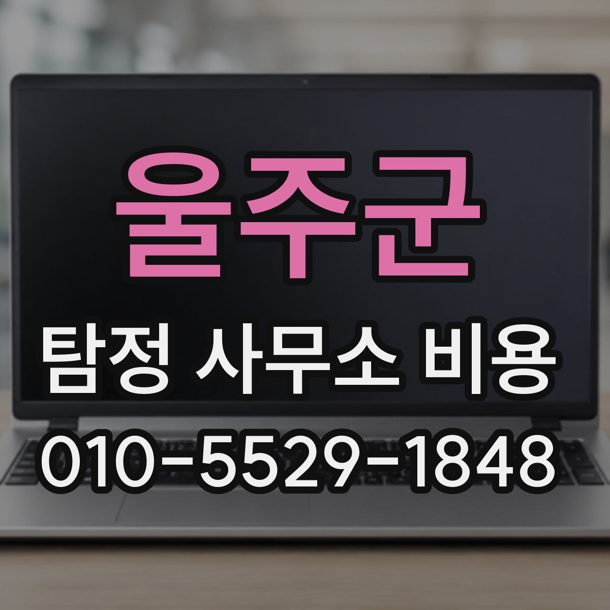 울주군 탐정 사무소 비용