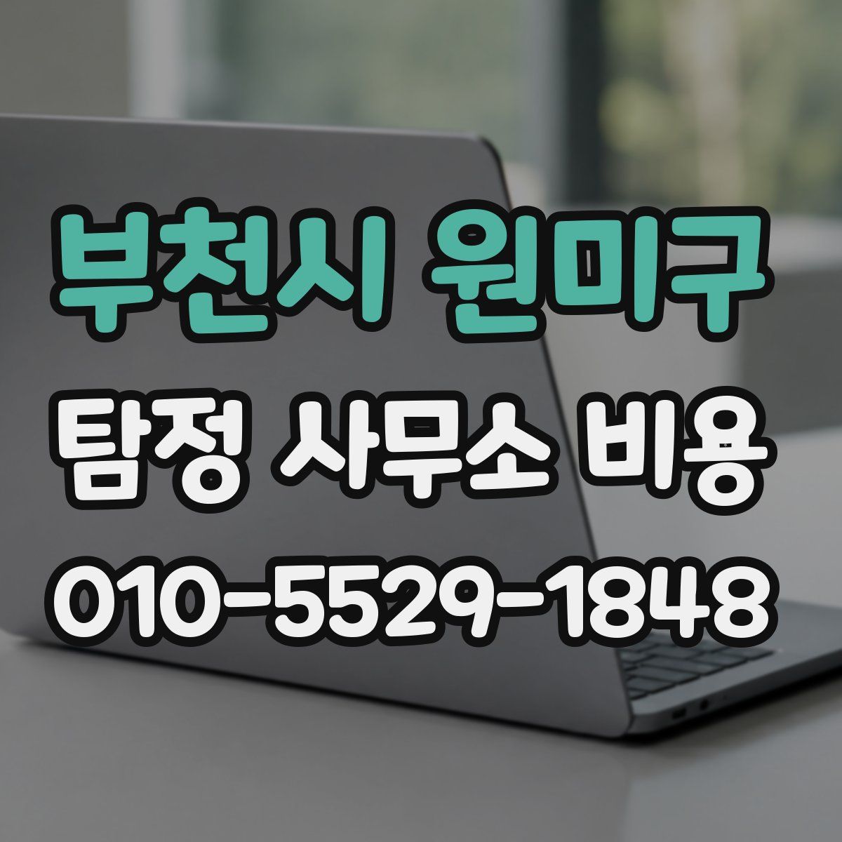부천시 원미구 탐정 사무소 비용