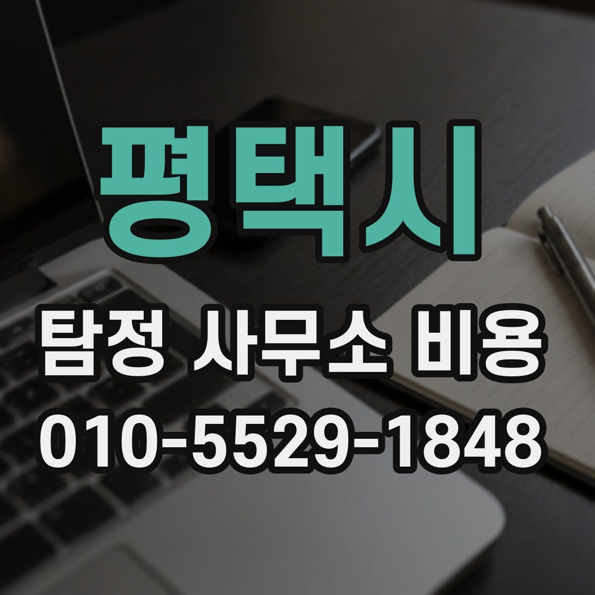 평택시 탐정 사무소 비용