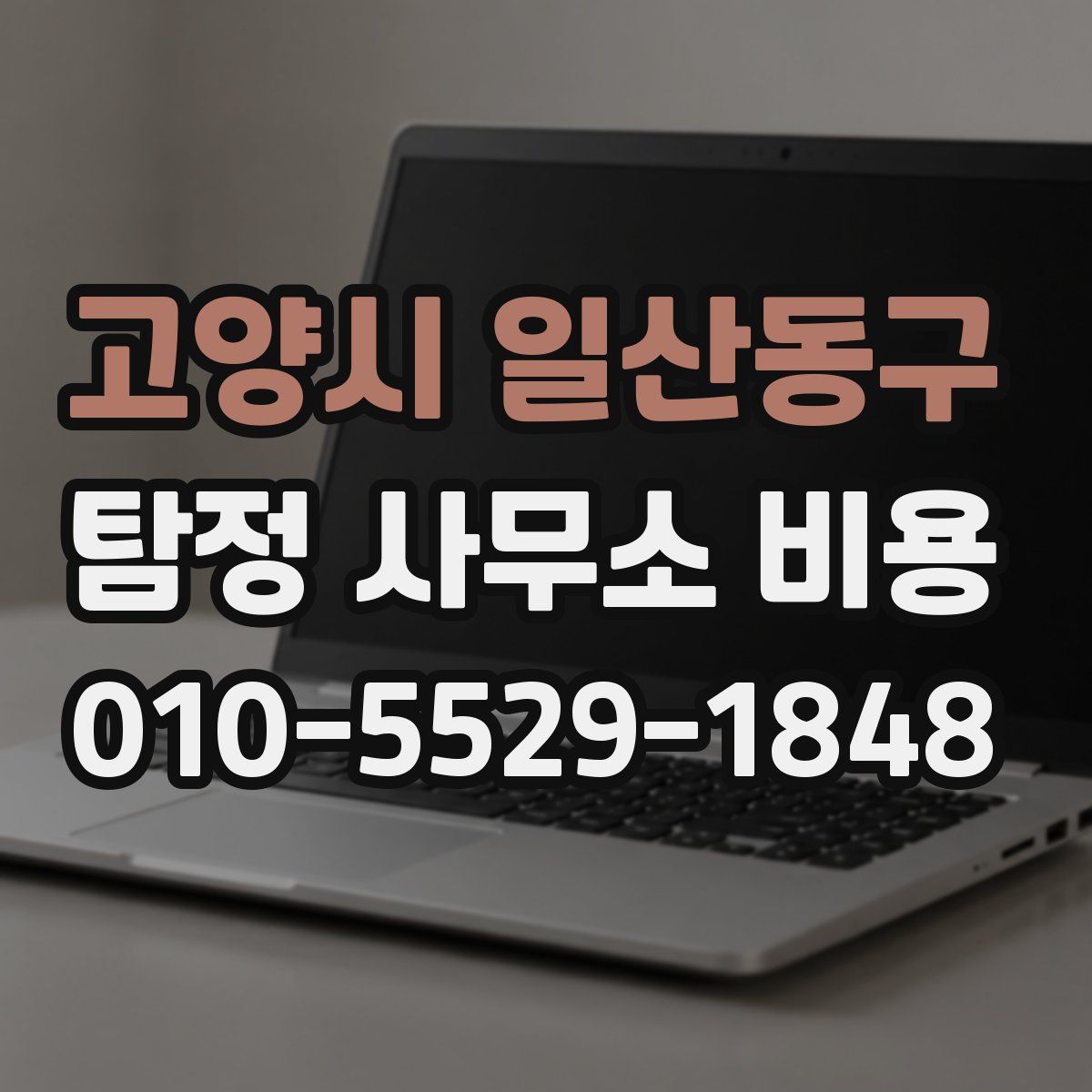고양시 일산동구 탐정 사무소 비용