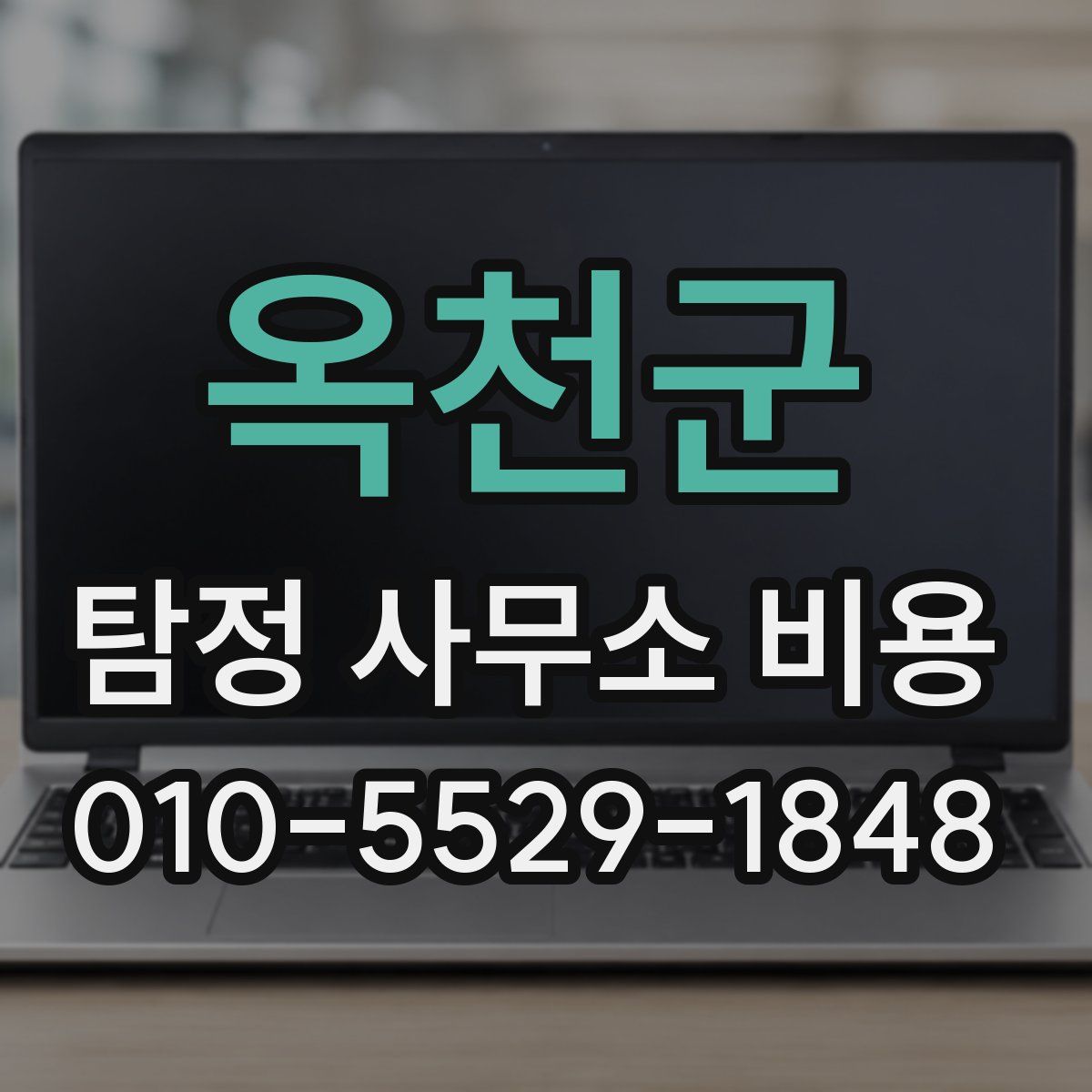 옥천군 탐정 사무소 비용