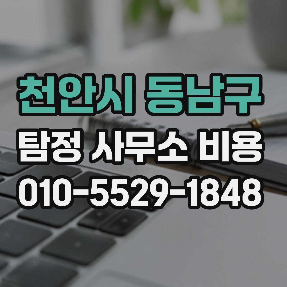 천안시 동남구 탐정 사무소 비용