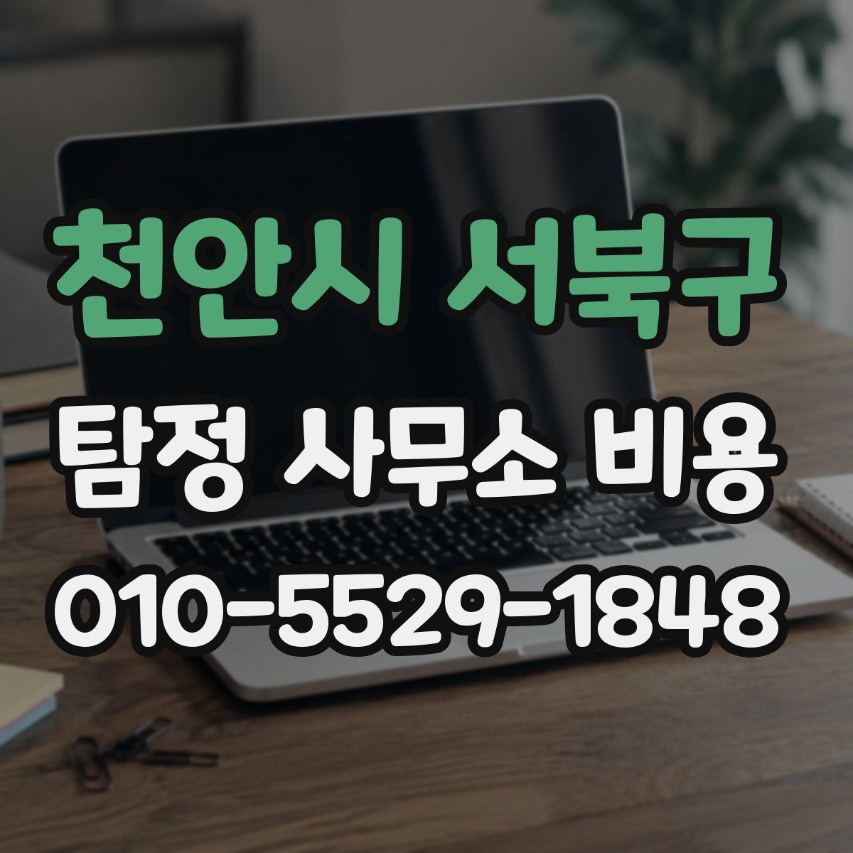 천안시 서북구 탐정 사무소 비용