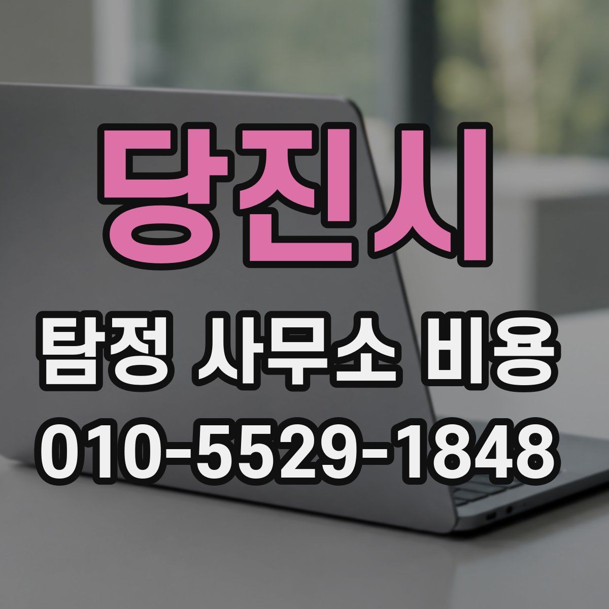 당진시 탐정 사무소 비용