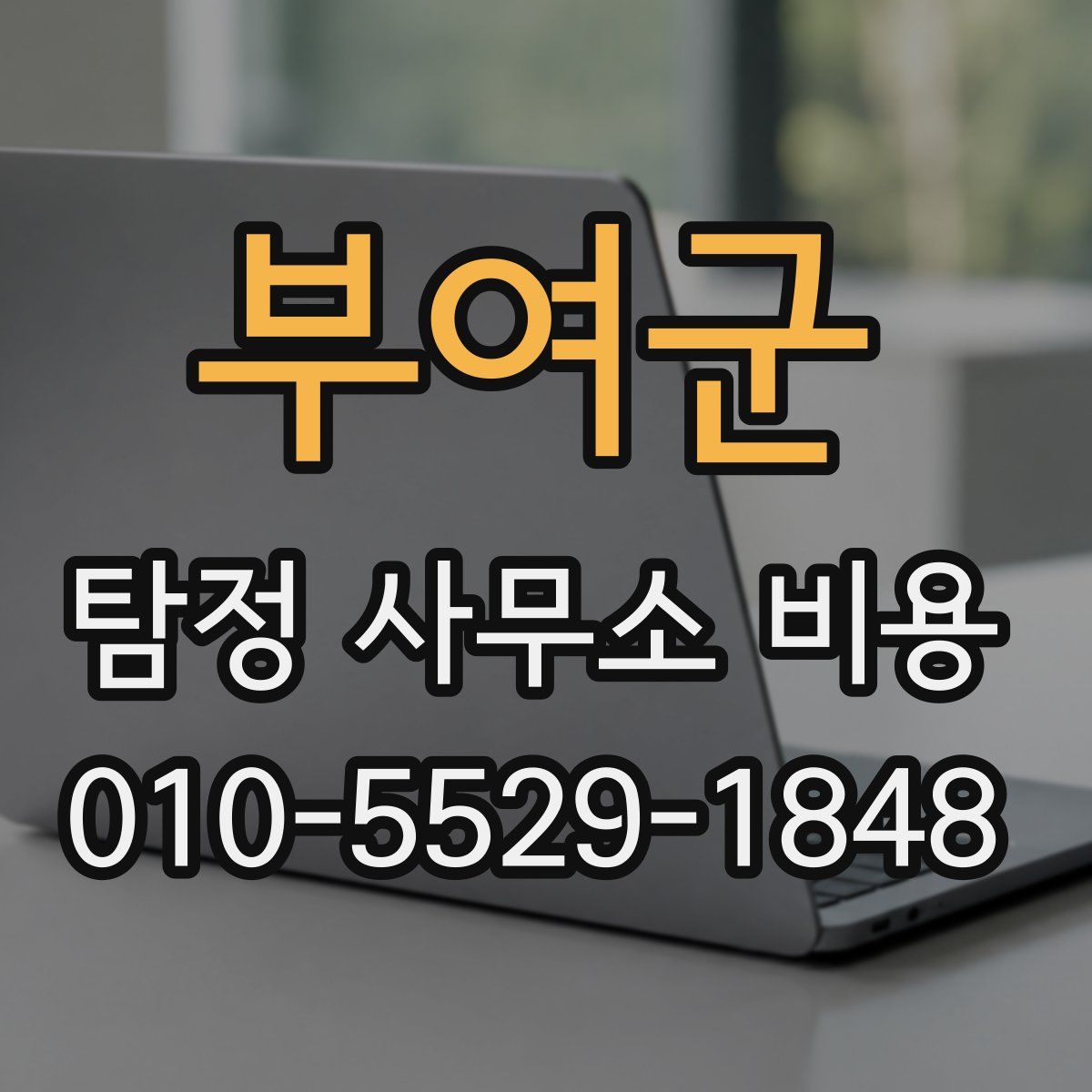 부여군 탐정 사무소 비용