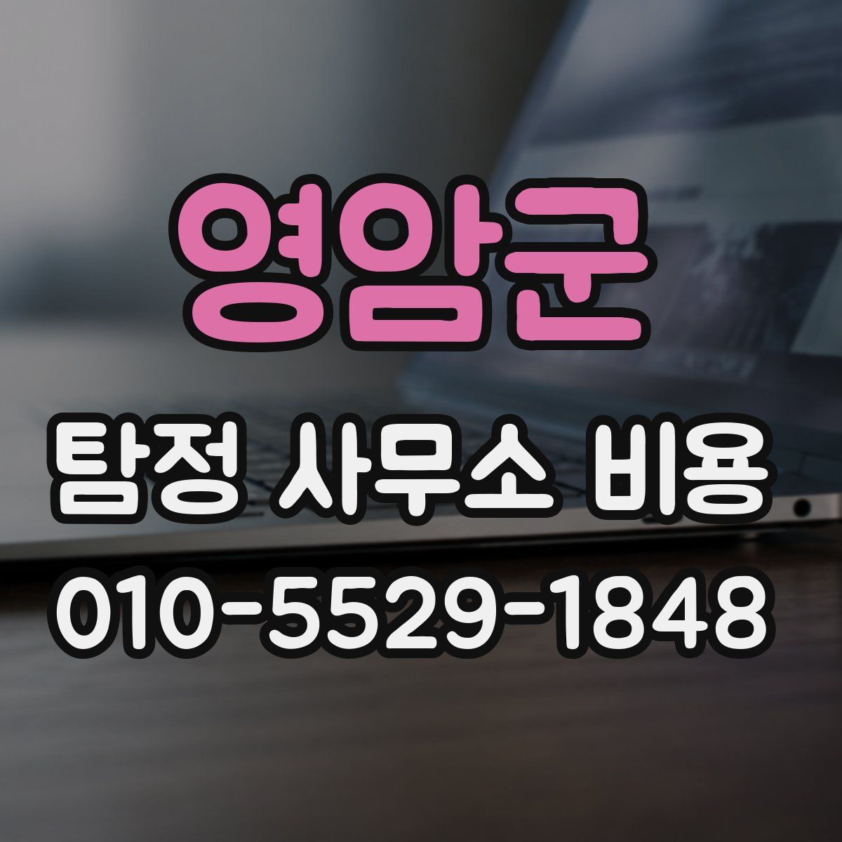 영암군 탐정 사무소 비용