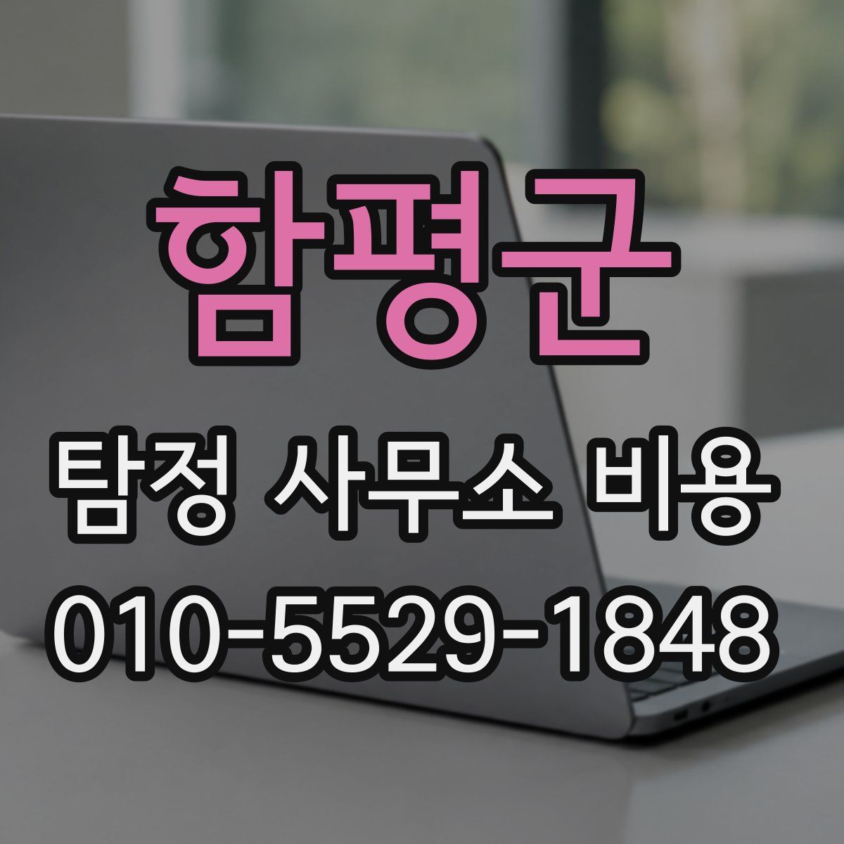 함평군 탐정 사무소 비용