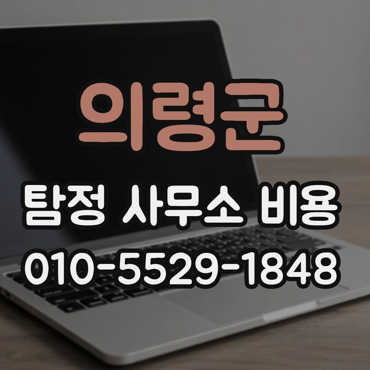 의령군 탐정 사무소 비용