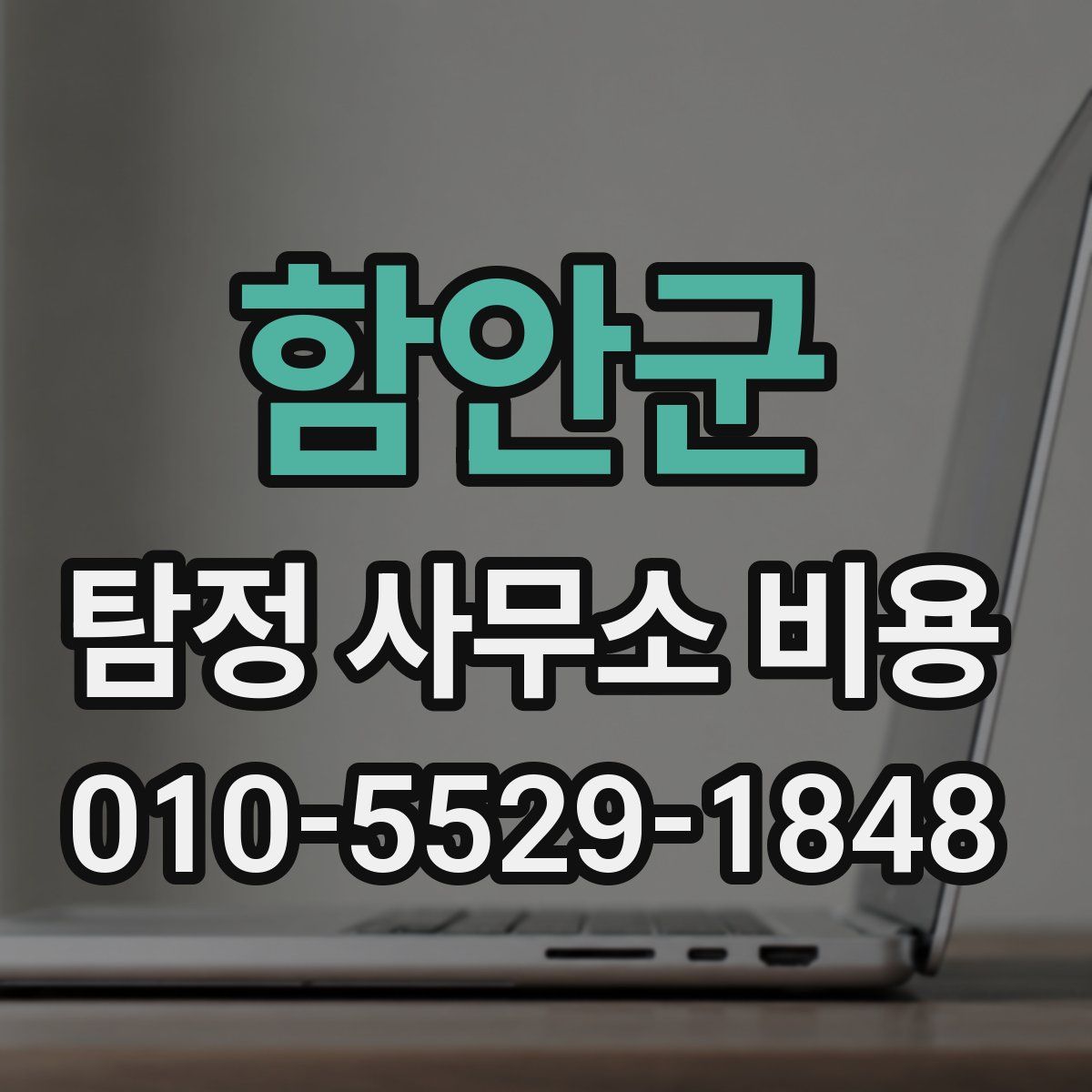 함안군 탐정 사무소 비용